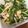 PIYO★chan's cooksnap of when they made たまごとカニカマで☆水菜サラダ.