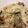 腹ぺこねこ's cooksnap of when they made きのこの「とろけるスライスチーズ」かけ.