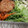 藍川咲's cooksnap of when they made 豆苗炒め.