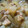 見習い和尚修業中's cooksnap of when they made 簡単！冬瓜と豚肉の中華風炒め煮.