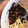 ちょび奈's cooksnap of when they made ひじきと挽き肉のケチャップ炒め.