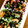 Merry72525's cooksnap of when they made ひじきの煮物.