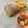 ブランディ's cooksnap of when they made 季節を味わう❀桃のマリネ❀.