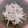 はる❁﻿'s cooksnap of when they made ごぼうとツナのマヨサラダ.