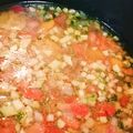 オバビヤブ's cooksnap of when they made 夏野菜シャキシャキ、我が家流ガスパチョ.