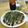 ダイハード近藤's cooksnap of when they made フライパンで広島風お好み焼き！簡単！.