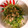 カサナミピン's cooksnap of when they made 簡単！ささみときゅうりのさっぱりサラダ.