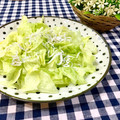 toraちゃん♪'s cooksnap of when they made 簡単！！レタスとしらすのサラダ.
