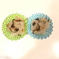 はなくまちゃん's cooksnap of when they made レンチン♪れんこんの塩昆布和え.