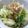 0327hn's cooksnap of when they made シャキシャキ白菜で柚子胡椒風味のおひたし.