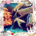 さっちゃーーーん's cooksnap of when they made サンマと葱のカレー煮.