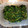 R2016's cooksnap of when they made 超簡単！ほうれん草のごま和え☆お弁当にも.