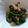 こころんち☆'s cooksnap of when they made ピーマンと豚肉炒め.