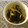 ブランディ's cooksnap of when they made わかめと新玉ねぎの酢の物.