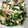 オヤジばばぁ's cooksnap of when they made 薬味たっぷりささみの梅肉和え.