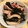 ゆいまーるん's cooksnap of when they made ｍイカ(タコ)とわかめの酢の物.