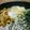 Fumio1214's cooksnap of when they made 夏のご飯に！キノコのおろし冷やしそば.