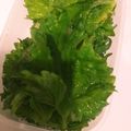 ともひにゃ's cooksnap of when they made 大葉の塩漬け(万能保存).