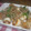 まぶたん's cooksnap of when they made お弁当に ちくわとピーマン炒め.