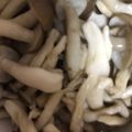 ma___111's cooksnap of when they made しめじのだし醤油煮.
