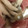 ma___111's cooksnap of when they made 簡単！火を使わず！きのこと生ハムのマリネ.
