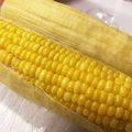 姉妹ママ☆ぺっかな's cooksnap of when they made 簡単！手軽！電子レンジでとうもろこし♪.
