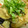myukitty's cooksnap of when they made ウマウマ！揚げだしナス★.
