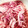 sacchiino's cooksnap of when they made 血液さらさら＠新タマネギの酢漬け.