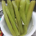 Coちむ's cooksnap of when they made ふきの下処理.