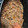クック1OC20D☆'s cooksnap of when they made ボロネーゼ☆本格ミートソース.