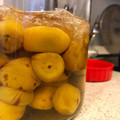 豆苗☆'s cooksnap of when they made 梅干を作ってみよう☆～まずは塩漬けから♪.