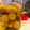 豆苗☆'s cooksnap of when they made 梅干を作ってみよう☆～まずは塩漬けから♪.