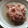 弁当とうさん's cooksnap of when they made 安い薄切り牛肉を柔らかくする方法.