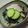 naoming's cooksnap of when they made 一味違う☆ひじきの和風サラダ♪♪.