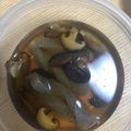 スシサンバ's cooksnap of when they made ☆椎茸とこんにゃくの煮物☆.
