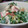 ぽんぽん堂's cooksnap of when they made 菜の花のマヨぽんおひたし.