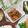 はるるん☆111's cooksnap of when they made あえるだけおつまみ☆アボガドキムチ.