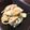 mipyon's cooksnap of when they made 爽やか仕立てのレモンクリームパスタ.
