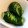 ごまぷぅ's cooksnap of when they made 【簡単♡白だしで即席】蛇腹きゅうりの漬物.