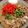 朔蔵Kitchen's cooksnap of when they made これぞ！チェーン店より確実に旨い牛丼！.