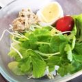 さん屁ぇです's cooksnap of when they made まるごとミニセロリ&もやしのサラダ.