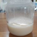 ぷちょへんざ♪'s cooksnap of when they made 簡単！単純！練乳は手作りで。（豆乳でも）.