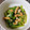 おかかーさん's cooksnap of when they made 小松菜と油揚げの炒め煮.