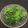 ☆こまっと☆'s cooksnap of when they made 試してみて。グリーンだけのごちそうサラダ.