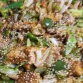 マママママナティ's cooksnap of when they made ダイエット！厚揚げ回鍋肉(コツあり).