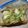 i_yokan's cooksnap of when they made 簡単！かぶの浅漬け.