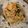 ピとみ's cooksnap of when they made アレルギー対応　きびめん塩焼そば　パスタ.