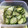 ROCKY1126's cooksnap of when they made 【作り置き】しらすと胡瓜の酢の物.