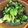 クックVOY1Q3☆'s cooksnap of when they made ブロッコリーの塩昆布ナムル.