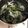 リボンヌ's cooksnap of when they made オクラとわかめの中華スープ.